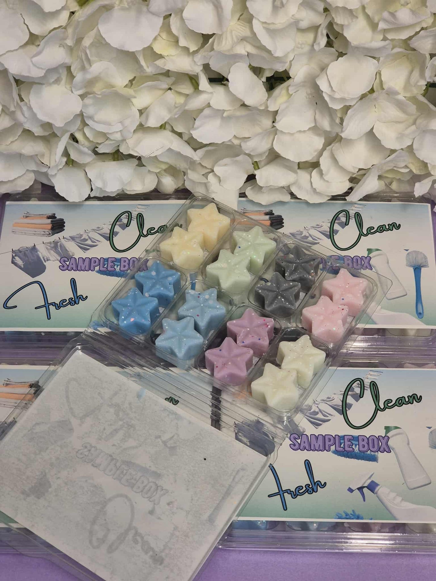 Wax Melt Selection box - Clean Fresh Scents