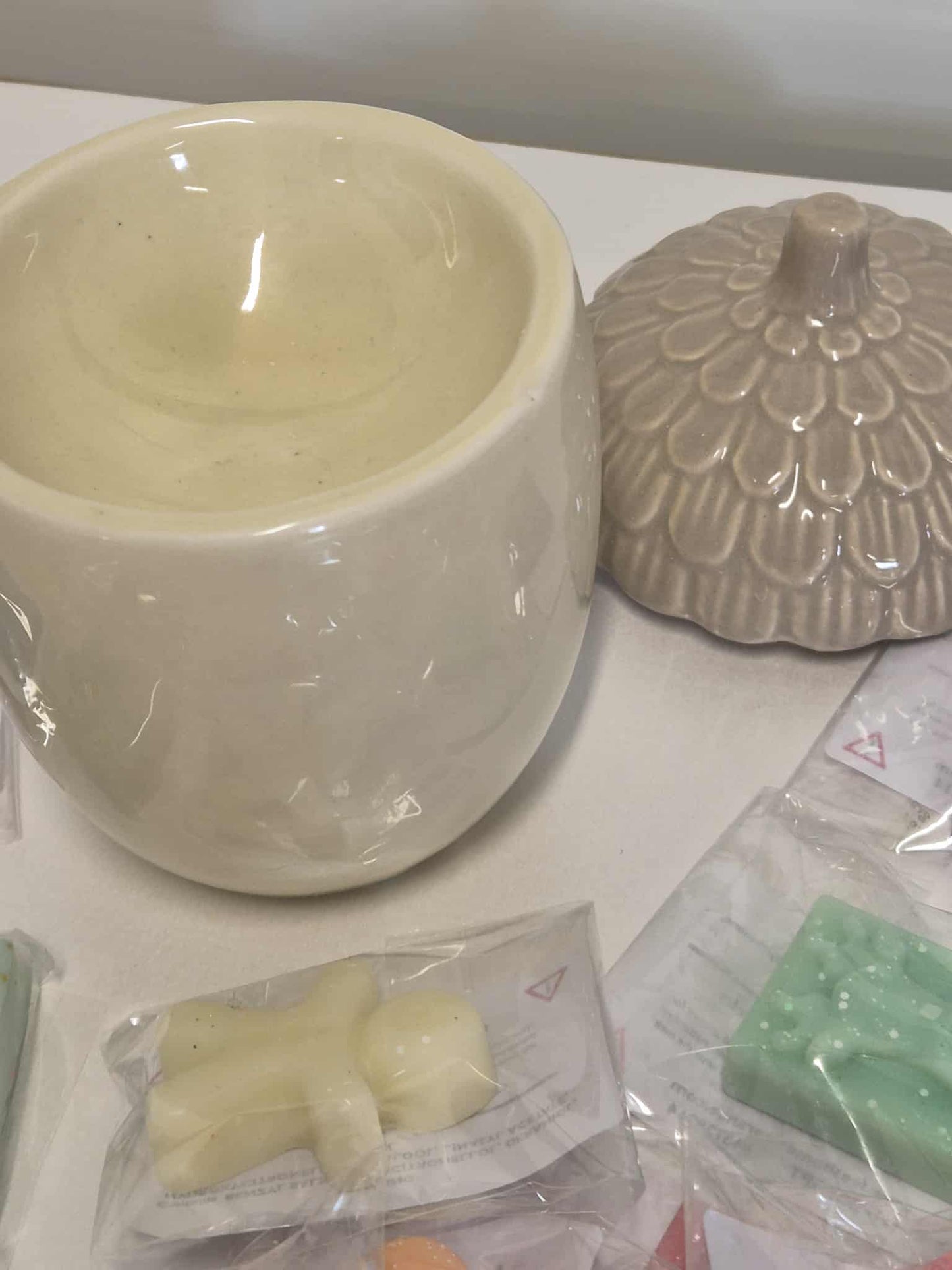Acorn Wax Melt Burner starter bundle