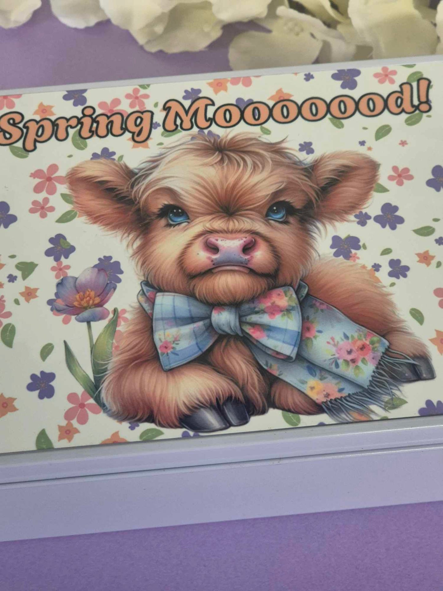 Rectangle wax melt storage tin comes with 20 wax melts - Spring mood highland cow