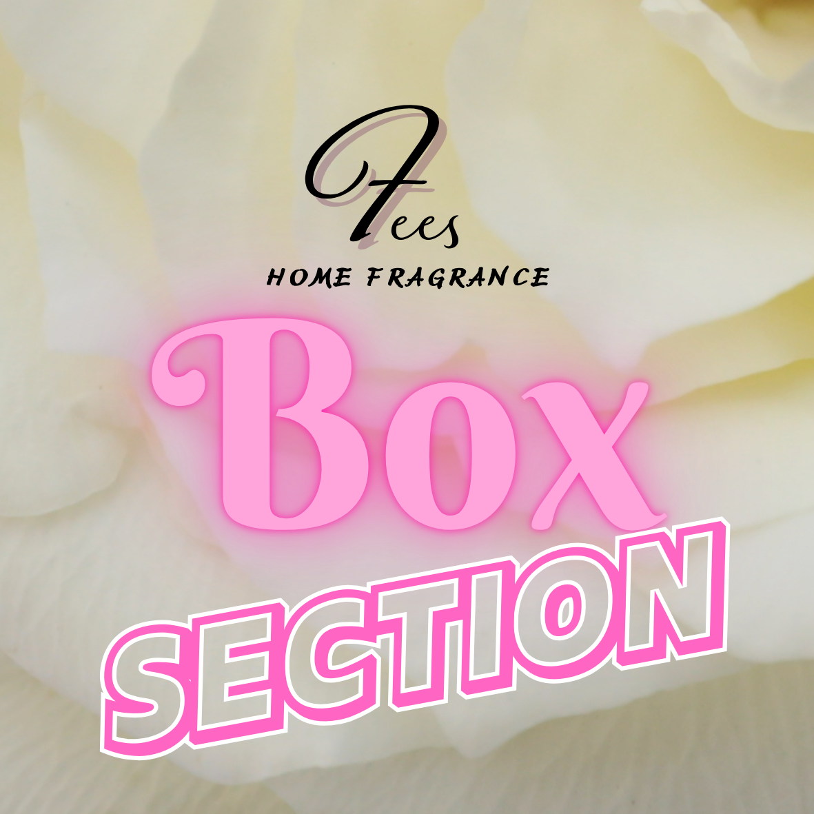 Fees Box Deals