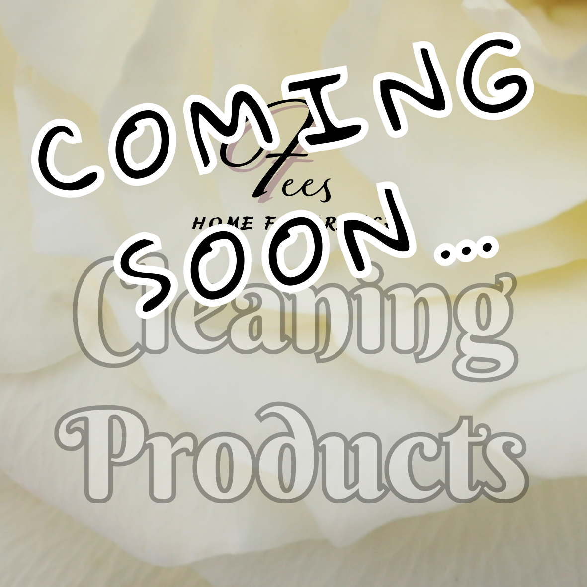 Cleaning Products