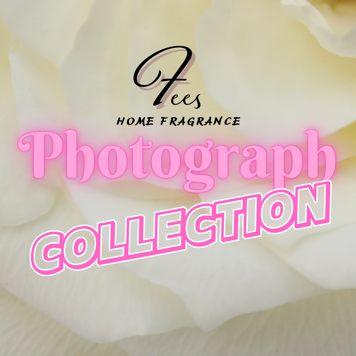 Photos