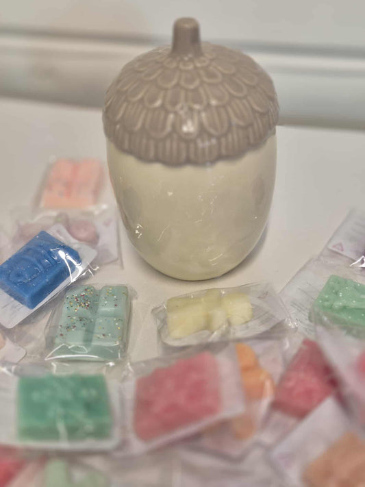 Acorn Wax Melt Burner starter bundle