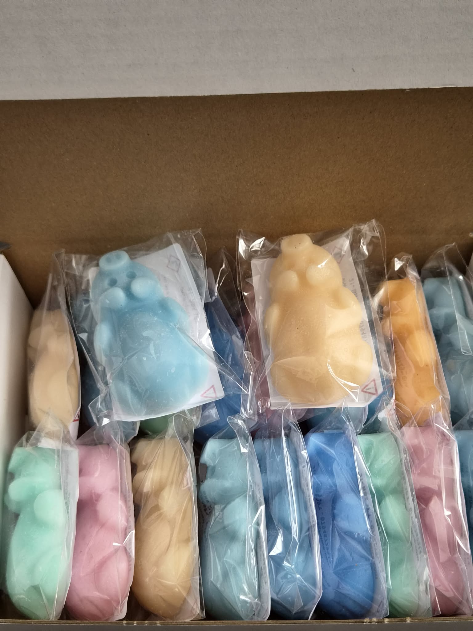 Fees Home Fragrance 20 Scent Piggy Wax melt Box